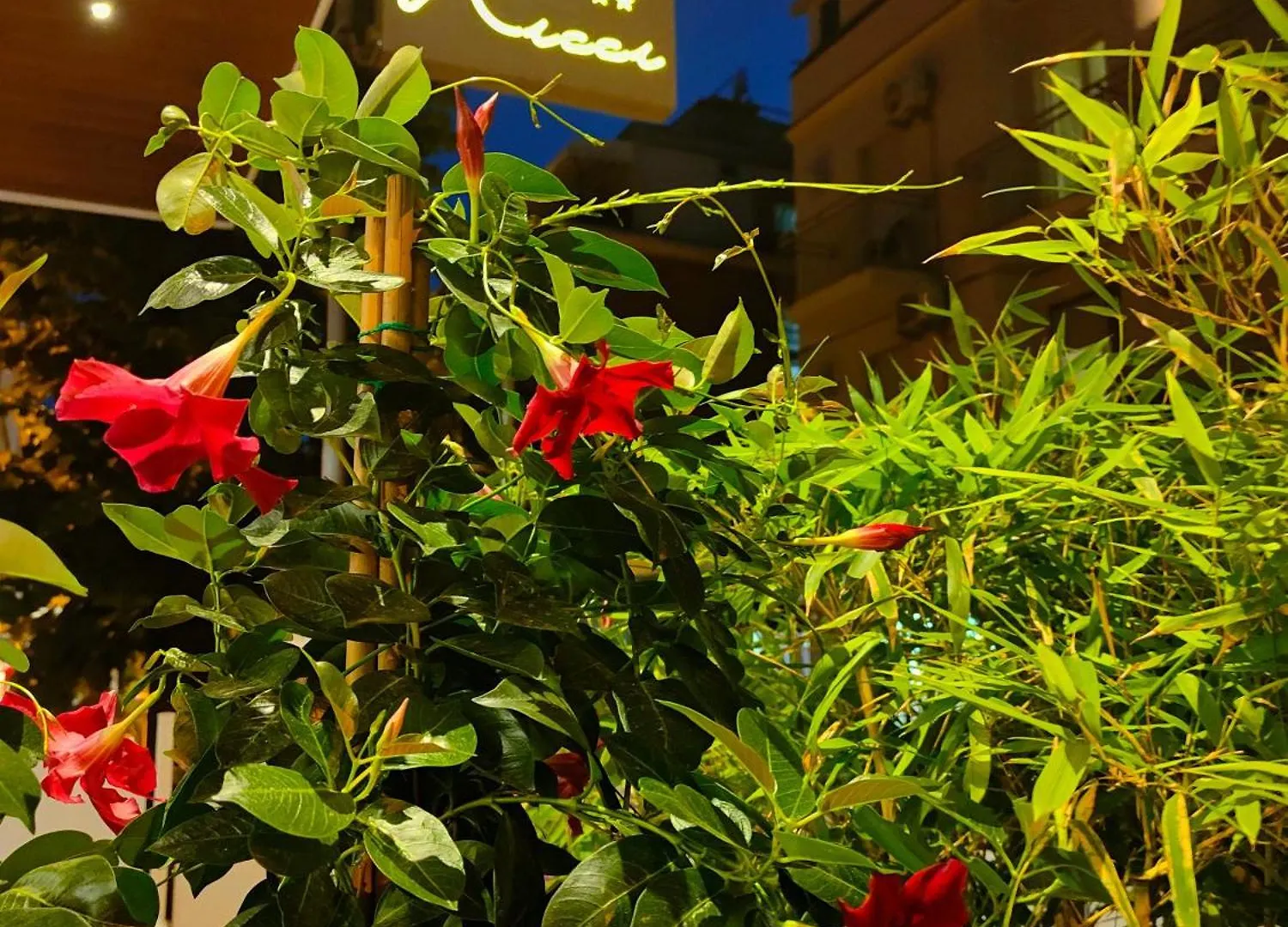 **  Hotel Ricci Rimini Italy